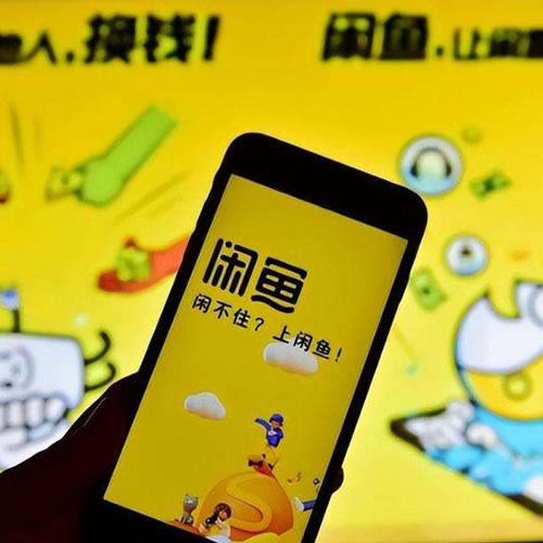 闲鱼无货源高级班，最全·最新·最干，紧贴热点 深度学习