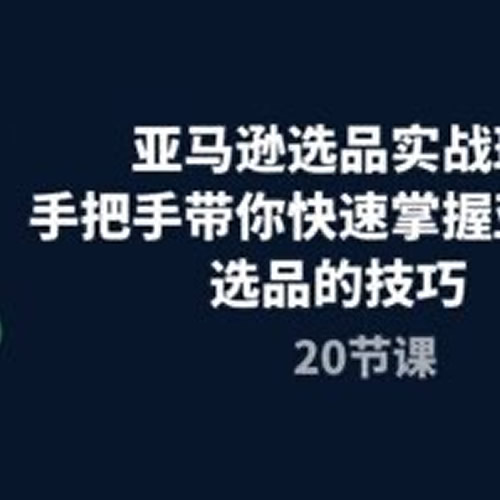 亚马逊选品实战班，手把手带你快速掌握亚马逊选品的技巧